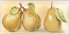 Плитка Retro Peras Cocina 10x20
