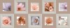 Плитка Rev. DECOR CHARME CREAM 20х50