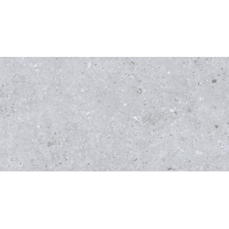 Rockberry Gris 30x60