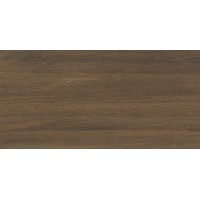 Плитка Shelby Brown 0927 60х30х0,8