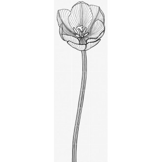 Плитка TULI-CHARME 2 60x180