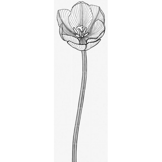 Керамическая плитка TULI-CHARME 2 60x180