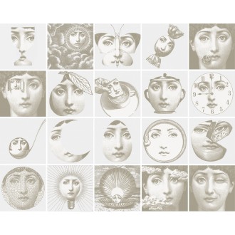 Плитка Tema e Variazione 1 L.111 10 (микс)