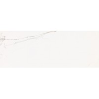 V30800671 Artic Gloss 45x120
