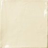 Плитка cna-002 Natura Ivory 13x13