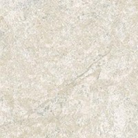 СП282 DYNASTY WHITE 20*20