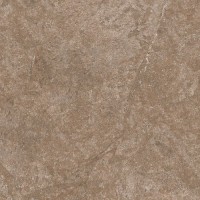 СП289 DYNASTY FOREST 40*40