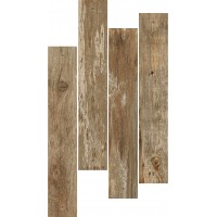 СП564 Speria nature 10x60