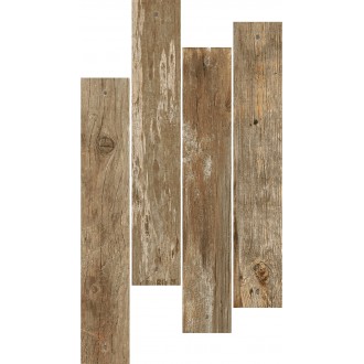 СП564 Speria nature 10x60