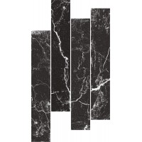 Albion black 10x60