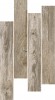 СП598 Speria greyed 10x60