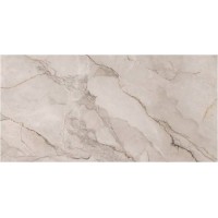 Сардиния темная 250x500