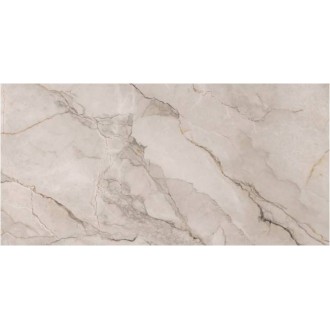 Сардиния темная 250x500