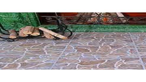 Скифы (Сокол)