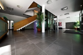 Lifestone Apavisa Porcelanico
