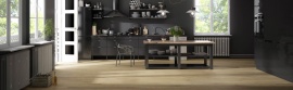 Nanoshiba Apavisa Porcelanico