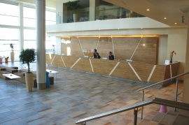 Quartzstone Apavisa Porcelanico
