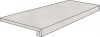 Ступени TERRA G120AG 120x32.5