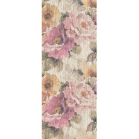 Троя 3 тип 1 20х50