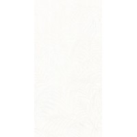 Фернс белый 30х60