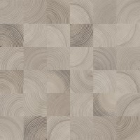 Шиен 2 серый 50х50