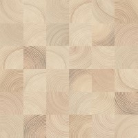 Шиен 3 бежевый 50х50