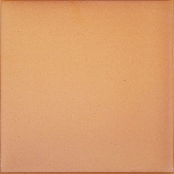 Клинкер ная плитка 900005 Natural 33x33
