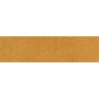 ная плитка Aquarius Beige фасадная 24,5х6,58