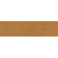 ная плитка Aquarius Brown фасадная 24,5х6,58