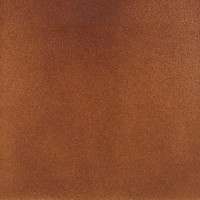 ная плитка Base Nature Asper Anti-slip 310x310x14