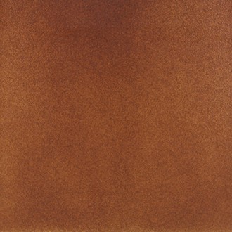 ная плитка Base Nature Asper Anti-slip 310x310x14