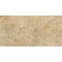 ная плитка Petra Ocre Liso 119.7x59.7
