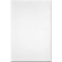 00-00-4-08-00-00-000 Плитка Однотонная белый глянцевая 20х40