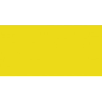 00-00-4-08-01-33-3025 Плитка Kids Желтый 40х20