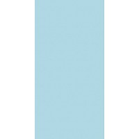 00-00-5-08-01-71-2320 Дижон бирюзовый 20х40