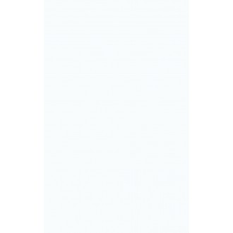 00-00-5-09-00-01-2820 Плитка Poluna white 25х40