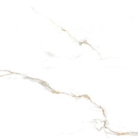 00-00000148 Bianco Carrara полированный 60х60