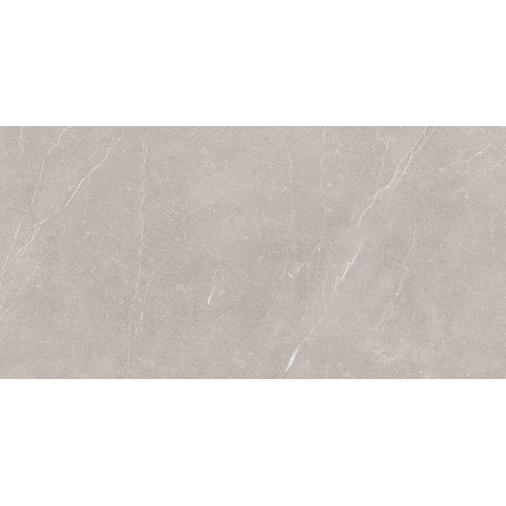 Керамическая плитка 00-00002208 Плитка Ebri Gris 31,5x63