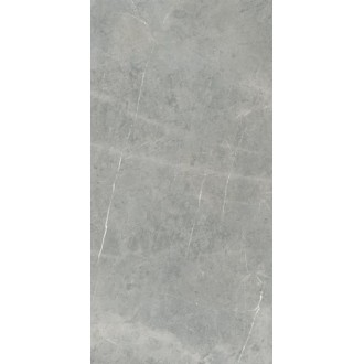 0002512 SUPREME EVO GREY AMANI LUX 60x120