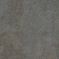 0003920 Native Forest Ret 80х80