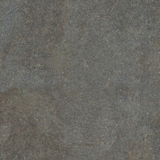 0003920 Native Forest Ret 80х80