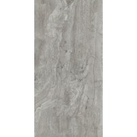 0005922 NAVONA GREY VEIN RET 60X120