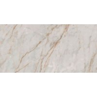 0009025 LUMINOUS EVEROSE LUX 60x120