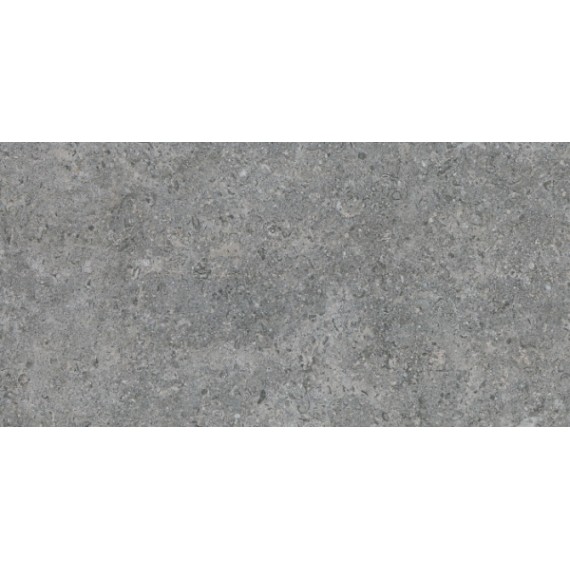 Керамогранит 001166 ETIENNE GREY 30x60