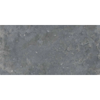 0012929 Керамогранит Memento Bruges Smoke Nat Rett 60x120