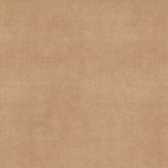 Керамогранит 0020873 Velvet Honey Nat 120x120