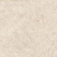 004.120.0001.14164 Керамогранит Taj Mahal Polished Rect 120x120