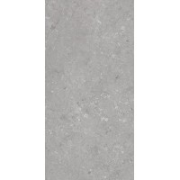 005485 Керамогранит Shellstone Grigio 60x120