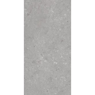 005485 Керамогранит Shellstone Grigio 60x120
