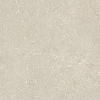 005848 Керамогранит Shellstone Beige 120x120